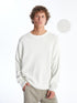 LC Waikiki Crew Neck Long Sleeve Men's Tricot Sweater